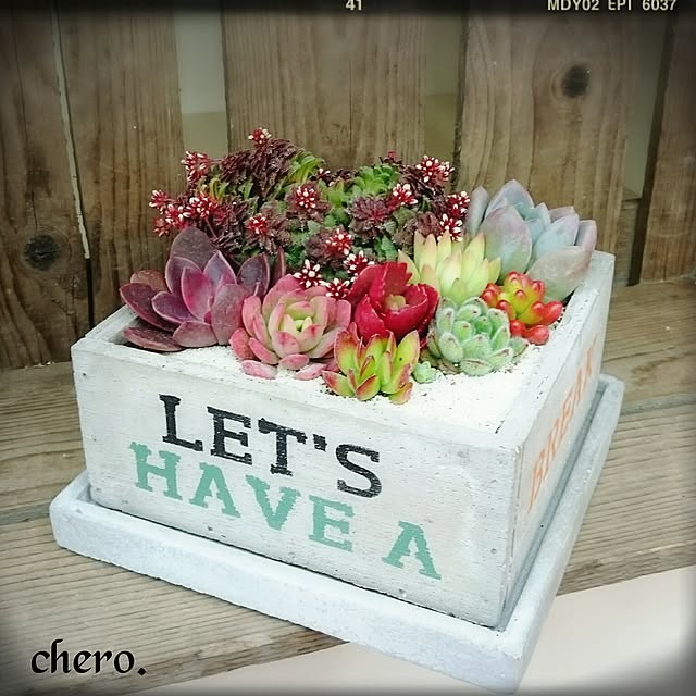 chero.さんの実例写真