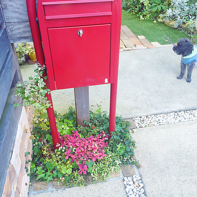 risaさんの実例写真