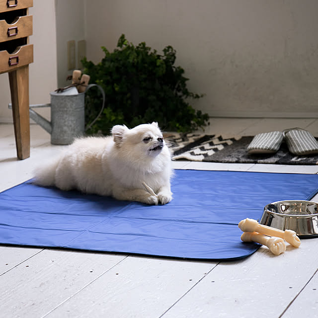 MODERN_DECOさんの実例写真