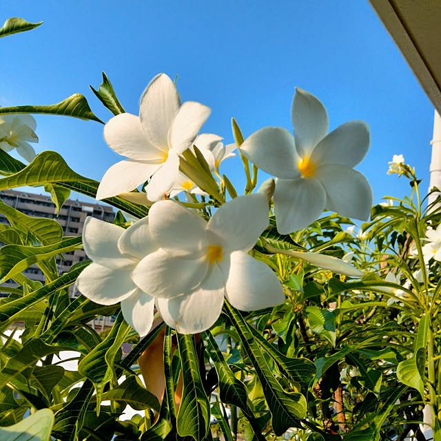 reko639さんの部屋