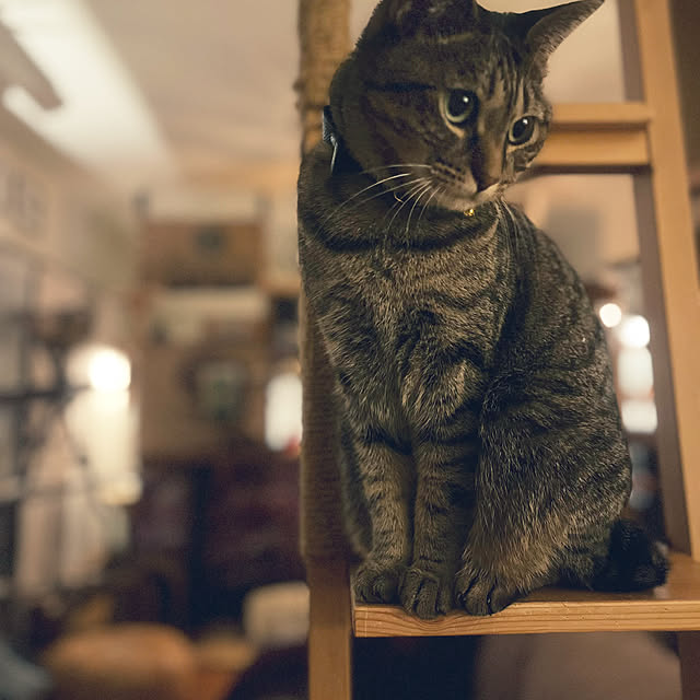 Mさんの実例写真