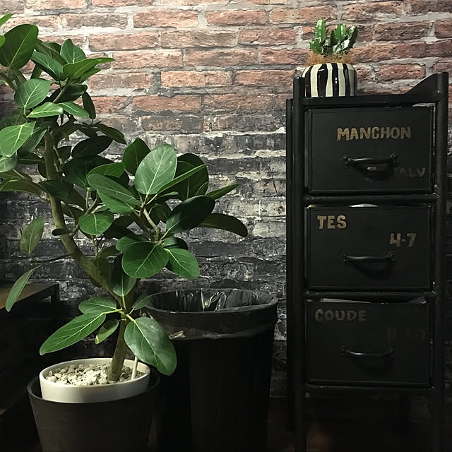 SKG65さんの実例写真