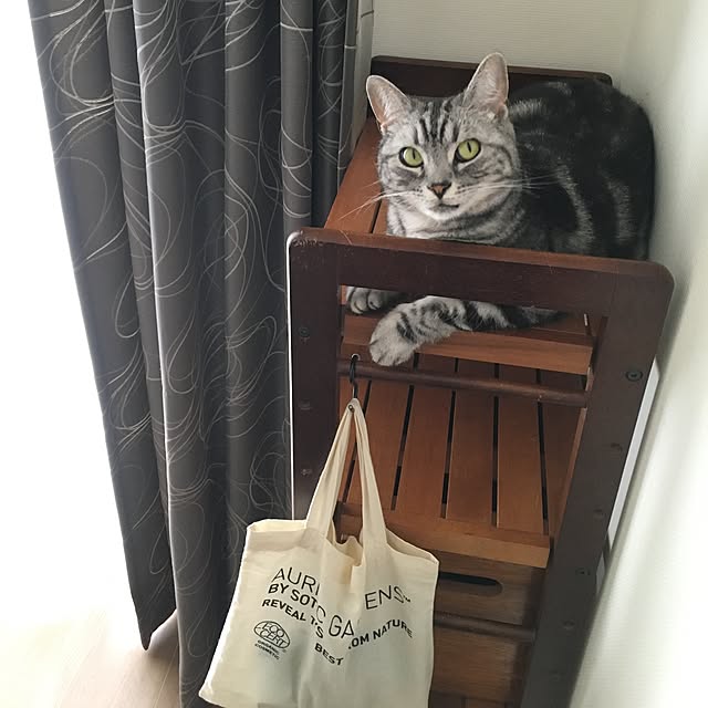 mikomaruさんの実例写真