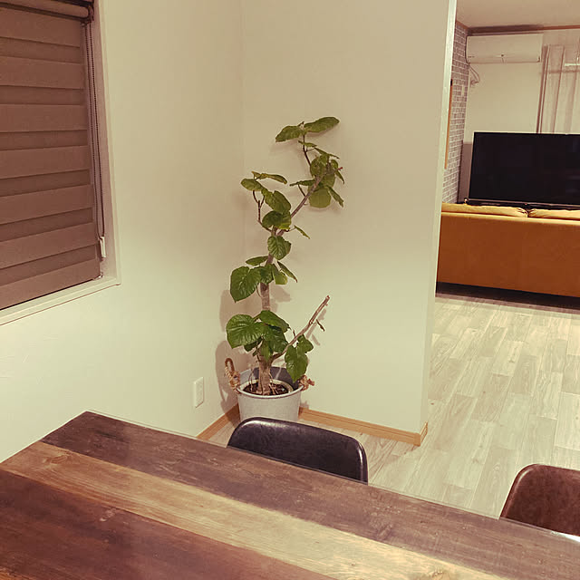 ssk.mさんの実例写真