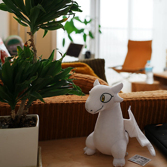 bassa_さんの実例写真