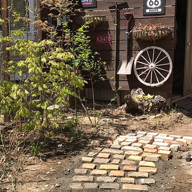nico25さんの実例写真