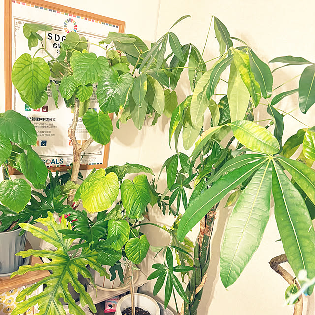 hirariさんの部屋