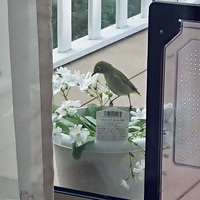 Bienvenueさんの実例写真
