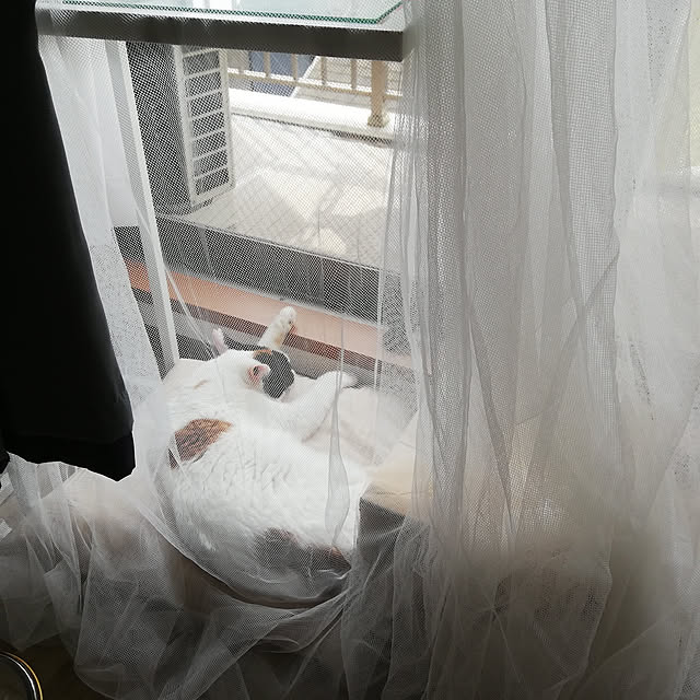 chocoさんの実例写真