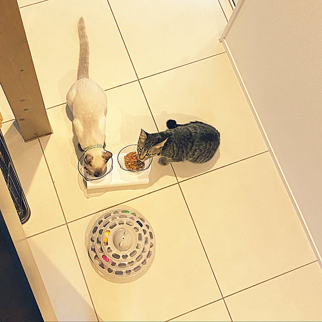yosiさんの実例写真