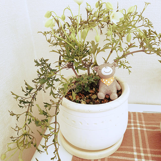 rinさんの実例写真