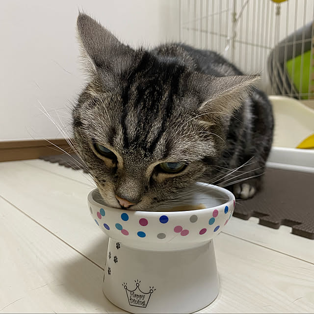 KotarouKunさんの実例写真