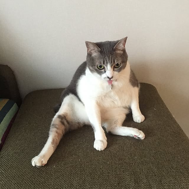 hirohiro081さんの実例写真