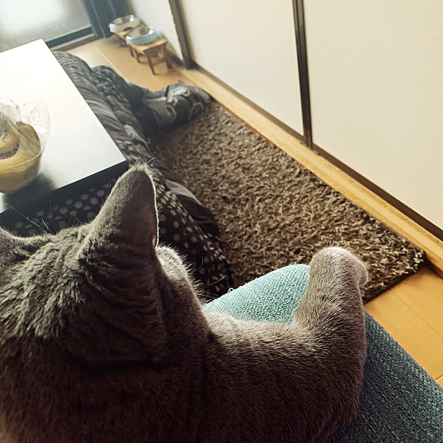 yunatana06さんの実例写真