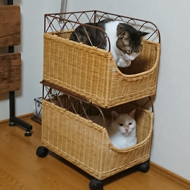 nachiさんの実例写真
