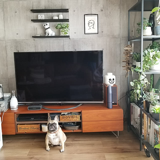 renrenさんの実例写真