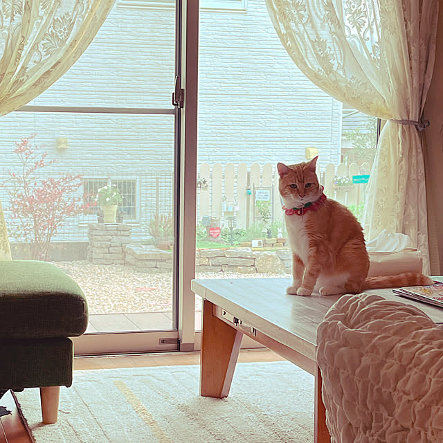 moolさんの部屋