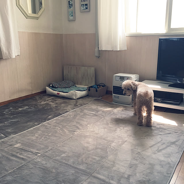 yukarimamaさんの実例写真