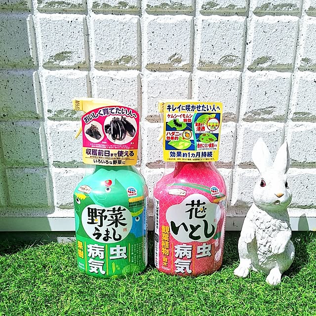prettychieさんの実例写真