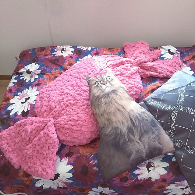 0c.c0さんの実例写真