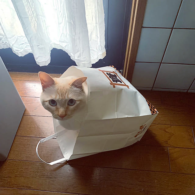 himetanさんの実例写真