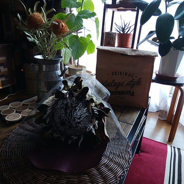 Brown.Lifeさんの実例写真