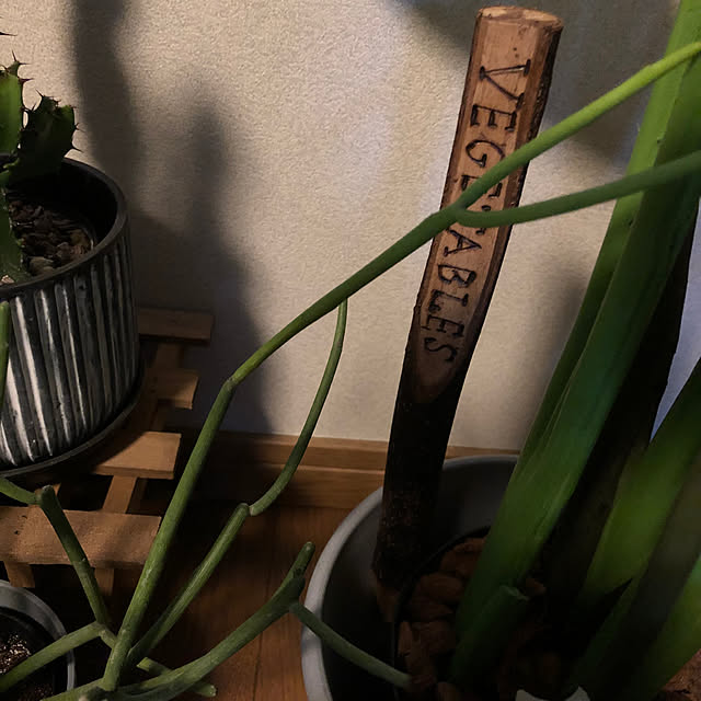 rintarotantan7さんの部屋