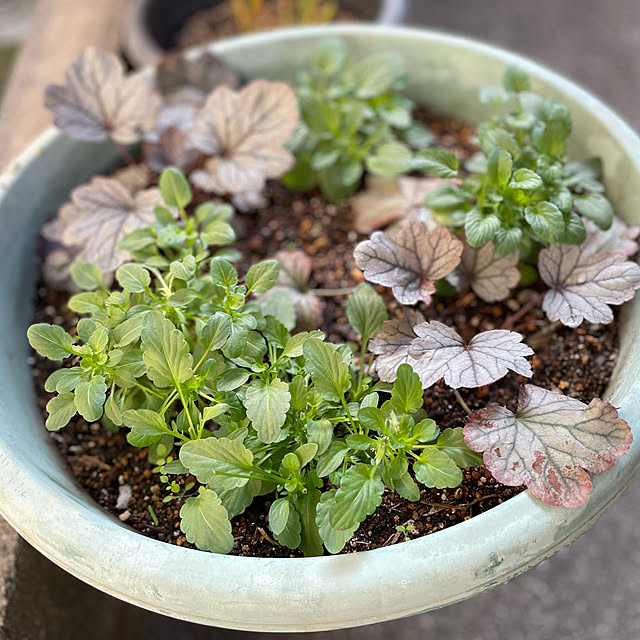 buchiさんの部屋