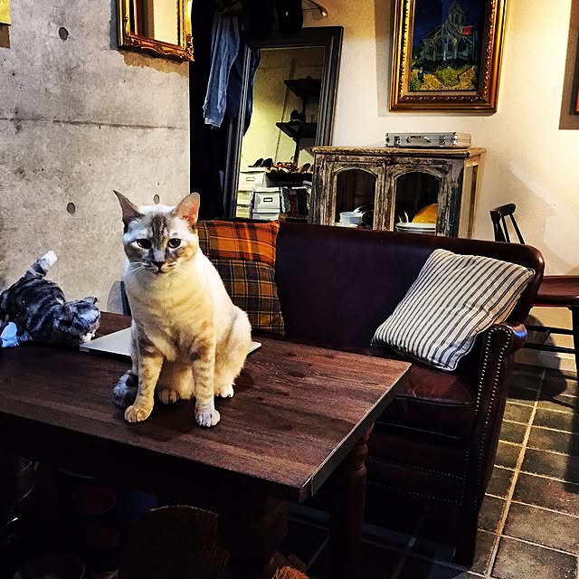 Naoki.さんの実例写真