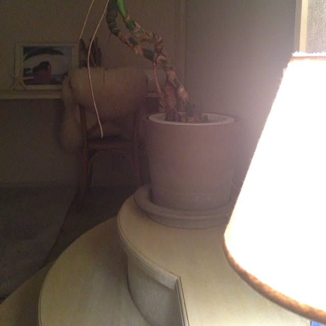 Bobさんの実例写真