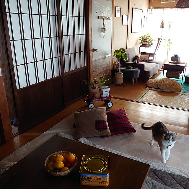 fukuさんの実例写真