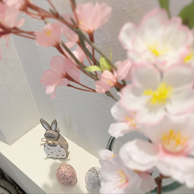junjunさんの実例写真
