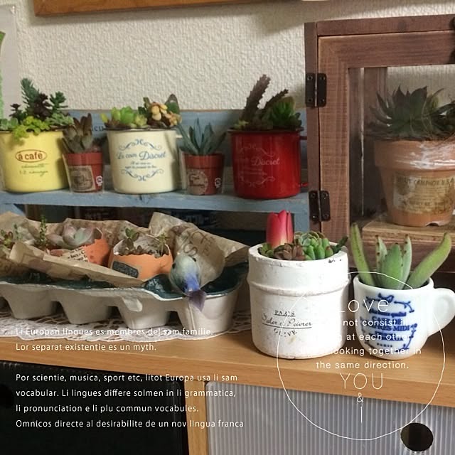chirinさんの実例写真