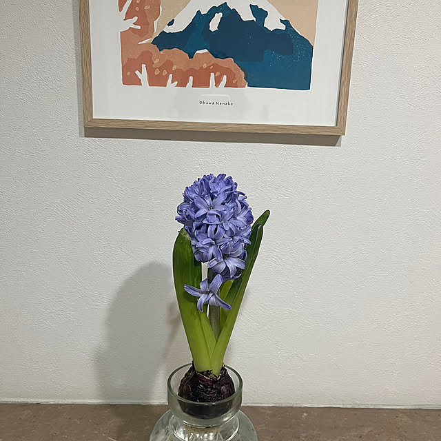 Appleさんの部屋