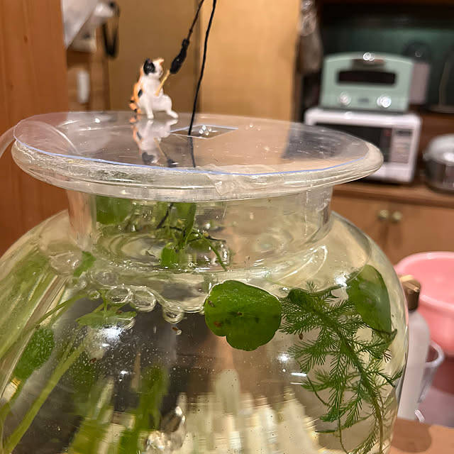 kozakura10さんの実例写真