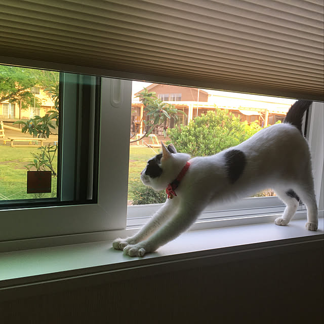 sm0728oj0811さんの実例写真