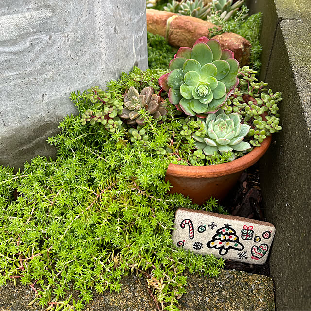pekoさんの実例写真