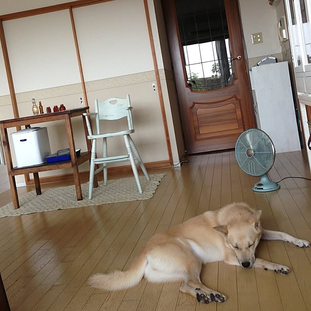 leonaさんの実例写真