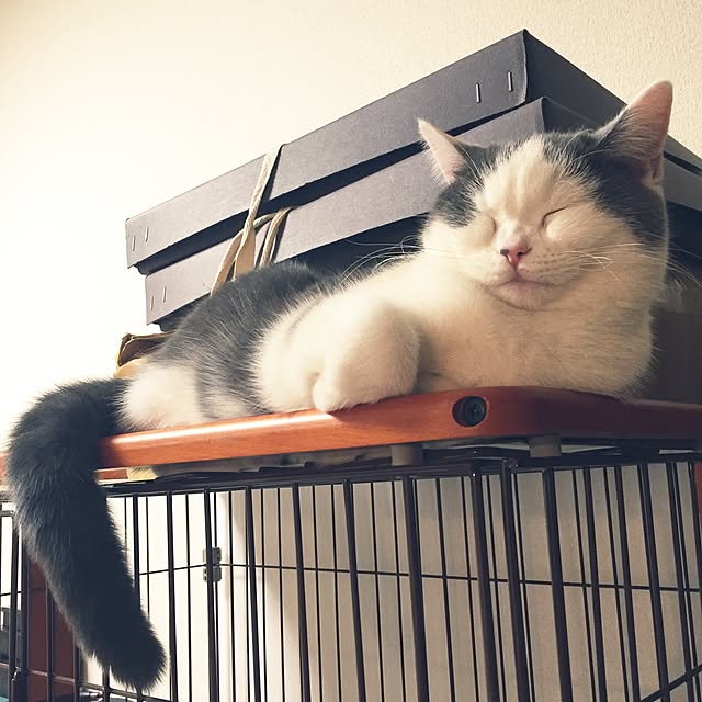 yunさんの実例写真