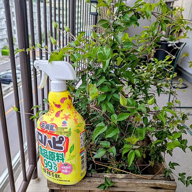 mi-saさんの実例写真