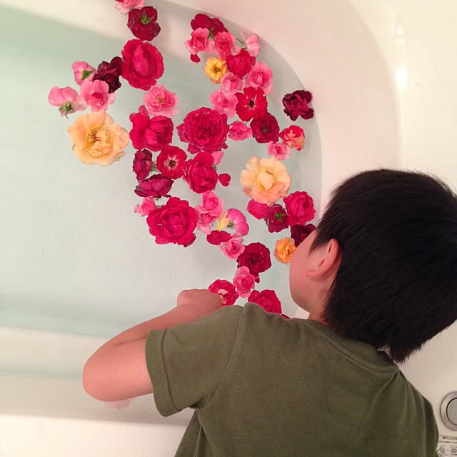 noraさんの実例写真