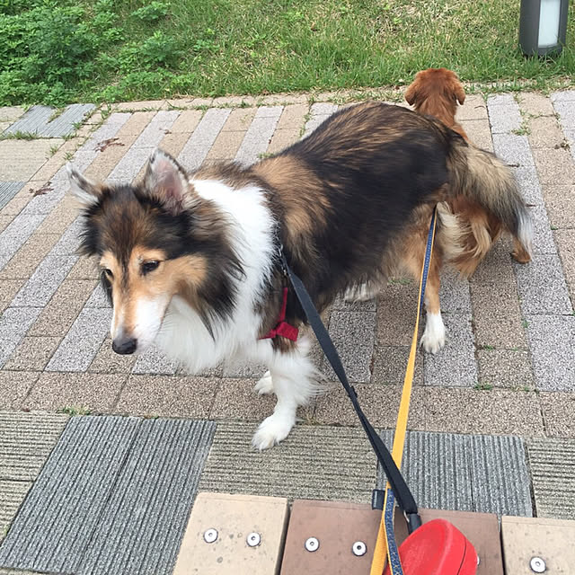 yumさんの実例写真