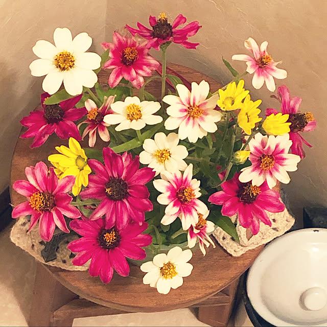 Naoさんの実例写真