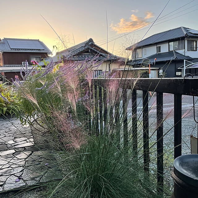shin0719さんの実例写真