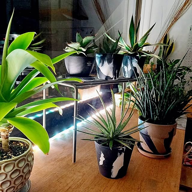 Rさんの部屋
