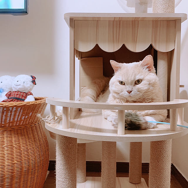 naokoさんの部屋