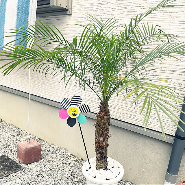 rikaさんの実例写真