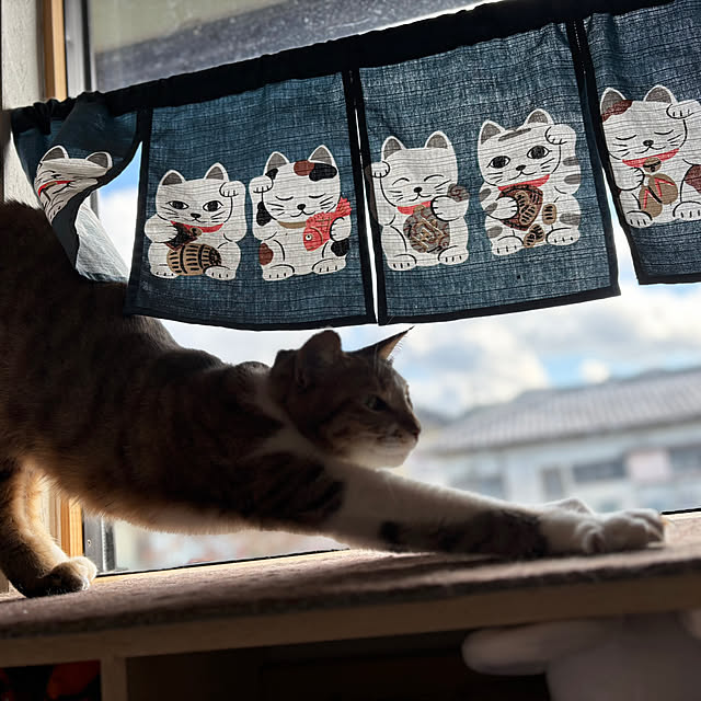 ririkoさんの部屋