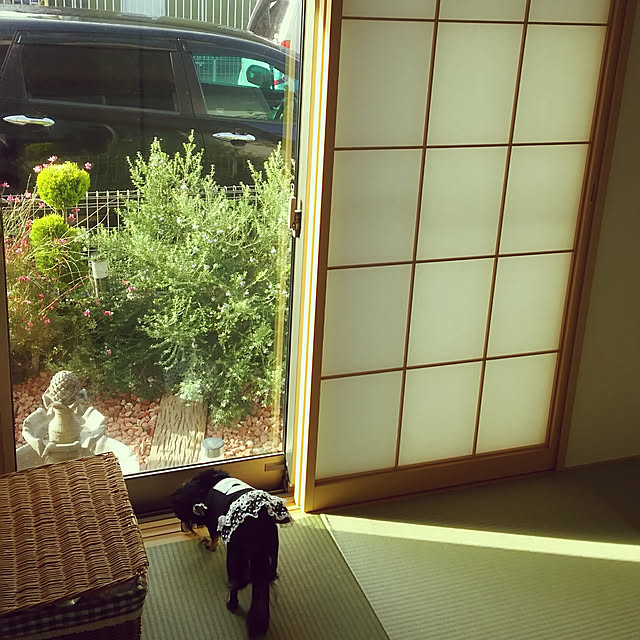 himeyuzurincocokiraさんの実例写真
