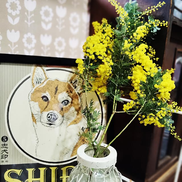 shinkoukei-hahaさんの部屋